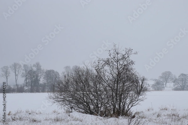 Obraz Winter Natur Landschaft