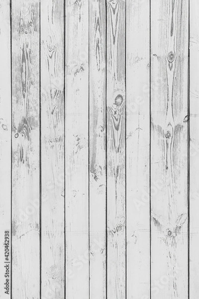 Fototapeta White vertical wood texture with natural pattern, fence boards background