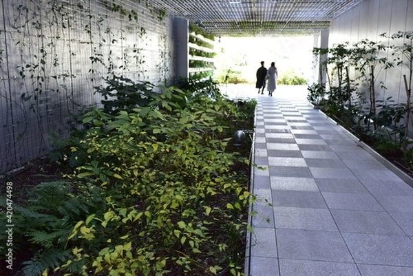 Obraz 屋上庭園でのデート