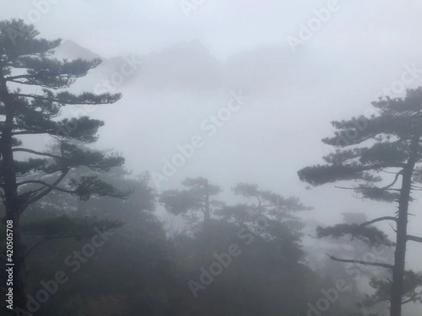 Fototapeta China Mount HuangShan - April, 2015: Natural scenery, sunsets, peculiarly-shaped granite peaks, Huangshan pine trees and views of the clouds from above. Photo taken in Yellow Mountain (UNESCO).