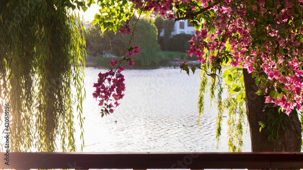 Obraz window with flowers