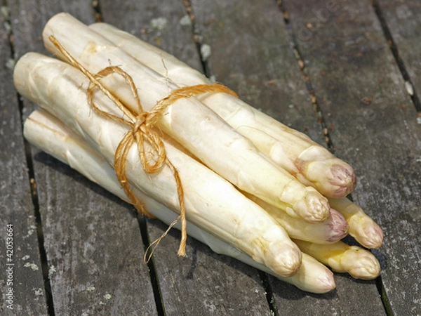 Obraz Bund Spargel