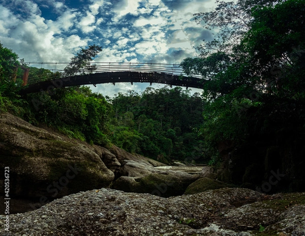 Obraz Mandiyaco canyon in the Colombian amazonian