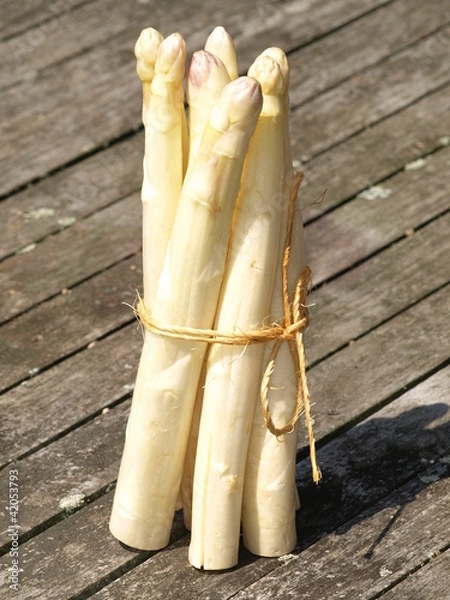 Obraz Spargel , ungekocht