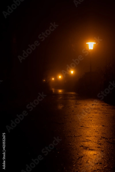 Obraz night street scene