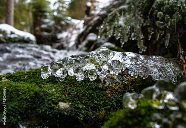 Fototapeta Frozen water close up. Ice waterfall. Transparent ice. Frozen grass, moss and granite stones. Textural ice formations.