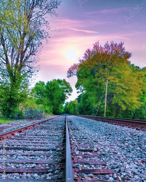 Obraz Train Tracks Landscape With Trees
