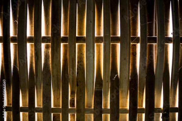 Obraz Bamboo background