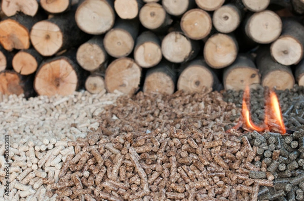 Obraz Alternative Energy