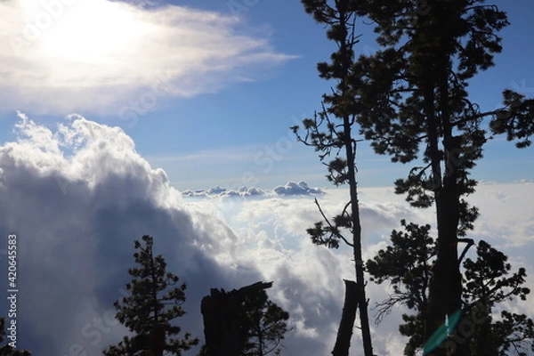 Obraz clouds in the mountains