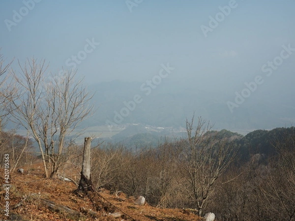Fototapeta 山からの風景