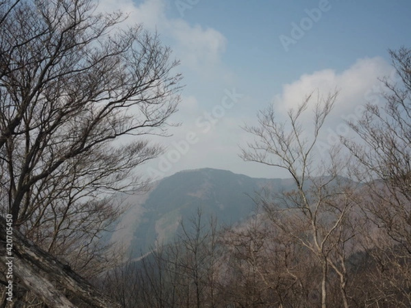 Fototapeta 山からの風景