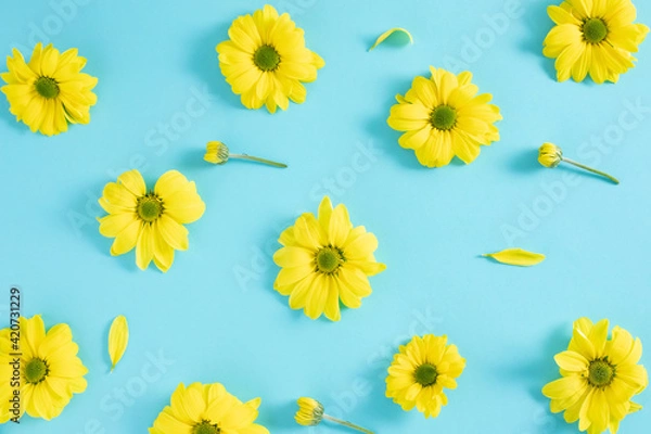 Obraz Bright  pattern made of yellow daisy flowers on a blue background. Flat lay minimal creative wallpaper design.