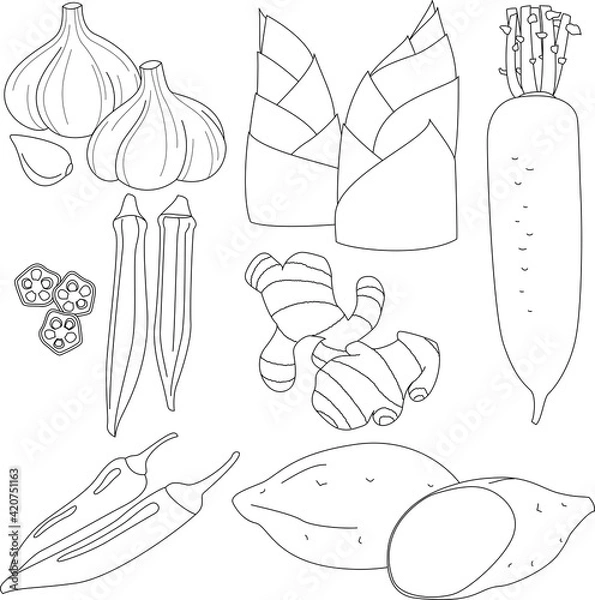 Obraz 色々な野菜や薬味のイラスト（線画）
