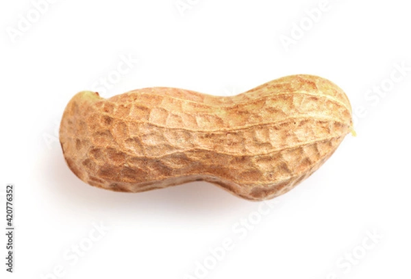 Fototapeta Single peanut in nutshell isolated on white