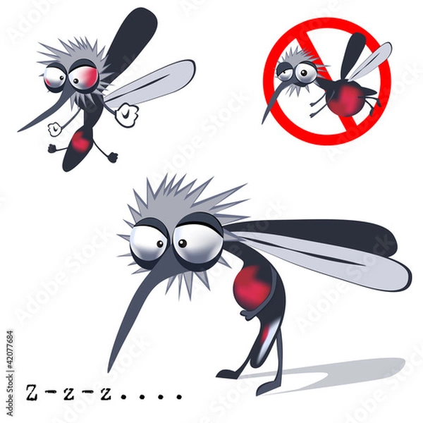 Obraz mosquito