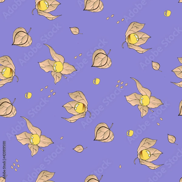Obraz Raster seamless pattern with colored autumn phyisalis on violet background.