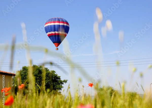 Obraz Hot Air Balloon