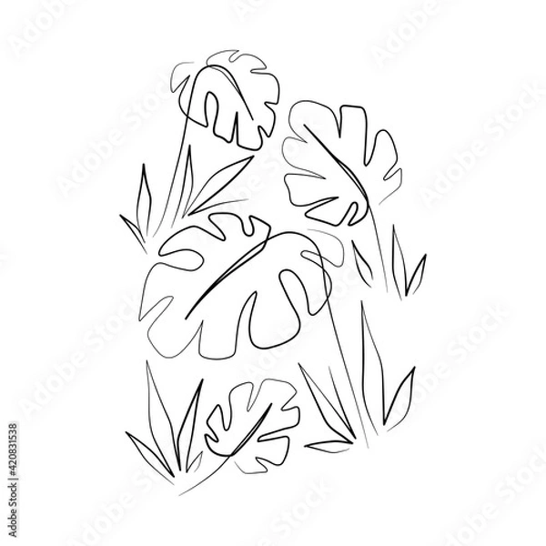 Fototapeta Vector Illustration of Elegant Botanical Line Art. Good for Cover, Poster, Card, and other.