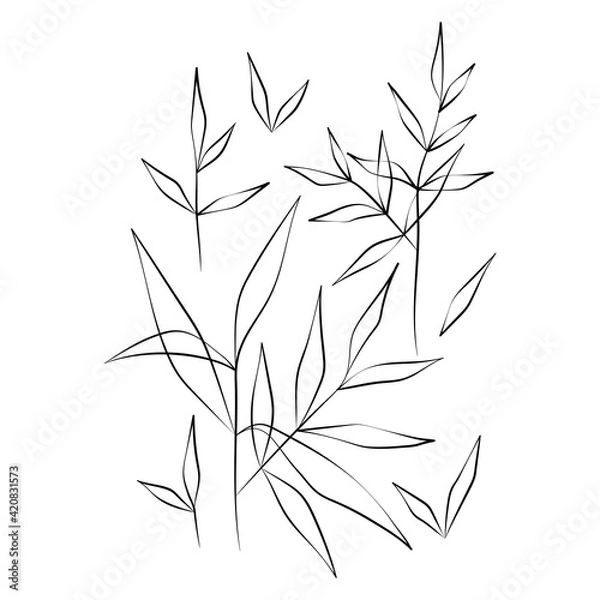 Fototapeta Vector Illustration of Elegant Botanical Line Art. Good for Cover, Poster, Card, and other.