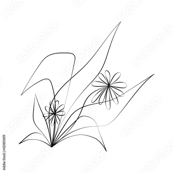 Fototapeta Vector Illustration of Elegant Botanical Line Art. Good for Cover, Poster, Card, and other.