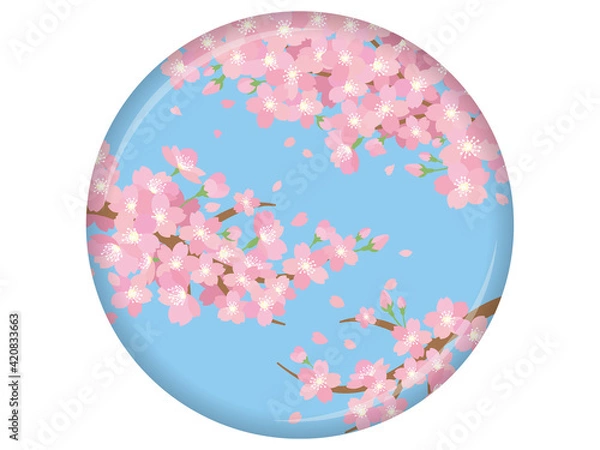 Fototapeta 桜のイラスト　さくら　サクラ　春