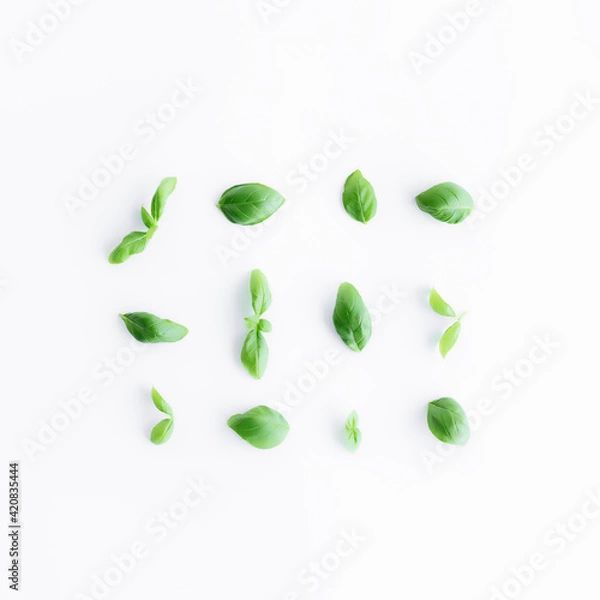 Fototapeta Green basil, mint leaves, white background. Healthy eating and cosmetics concept