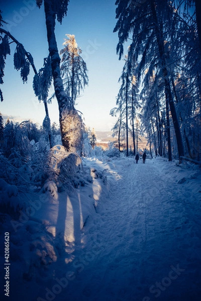 Fototapeta WInterwanderung