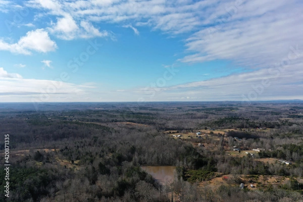 Fototapeta Forest and Lake