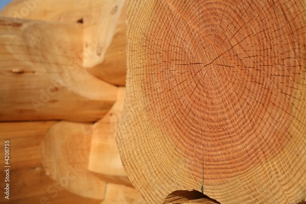 Obraz Construction en bois