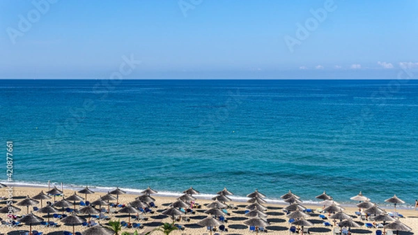 Obraz seagulls on the beach
