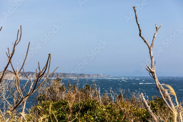 Fototapeta 強風による白波に囲まれた岬の白い灯台を対岸から見る