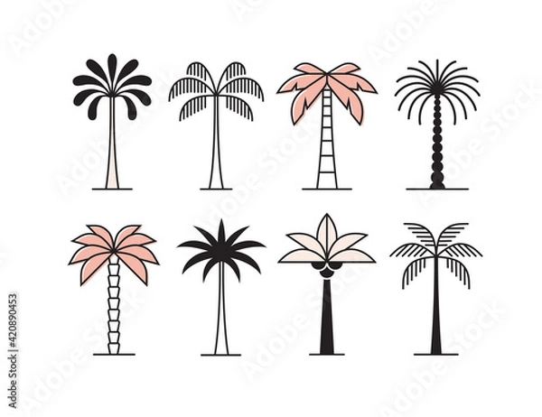 Fototapeta Graphic palm tree icon, logo set.