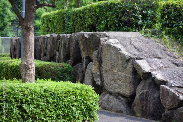 Fototapeta 大阪芸大の大学内の庭