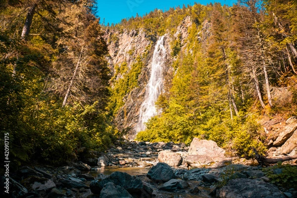 Obraz waterfall in the forest
