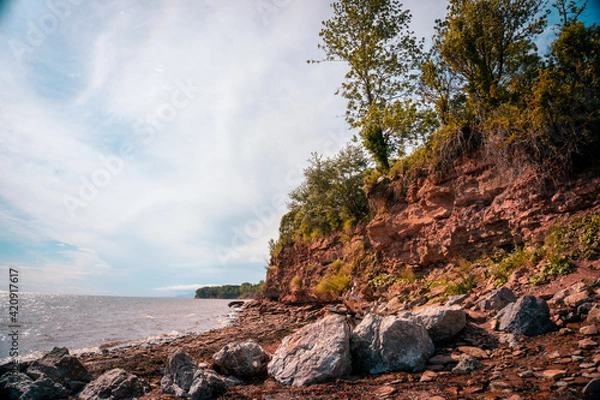 Obraz tree on the rocks