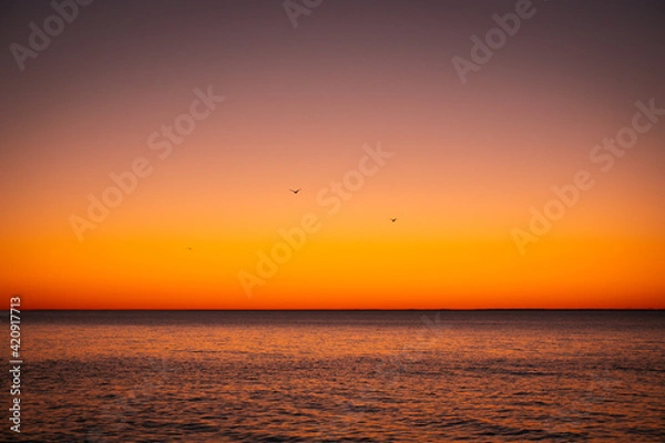 Obraz sunset on the sea