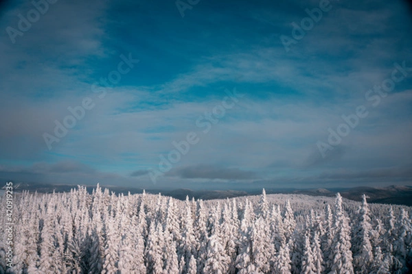 Obraz landscape with snow