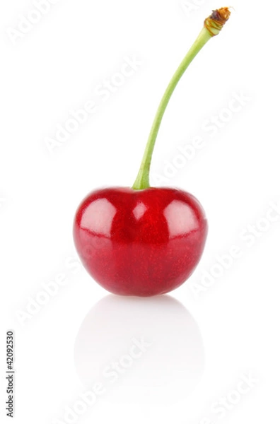 Fototapeta ripe merry isolated on white background