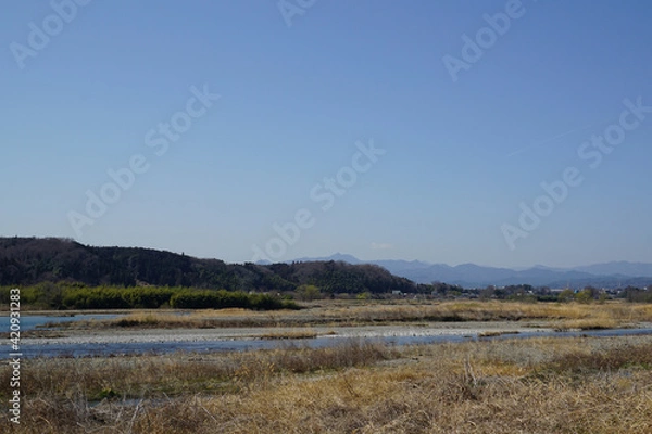 Fototapeta 早春の多摩川　風景　東京都昭島市