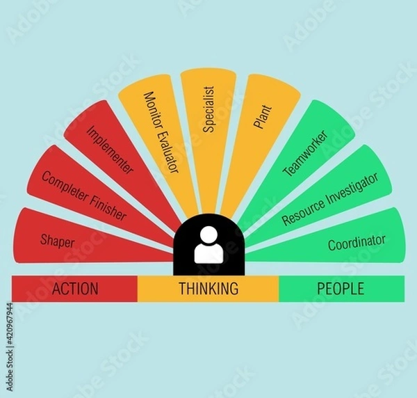 Fototapeta Drawing illustrating a psychological model describing different team roles and behaviours