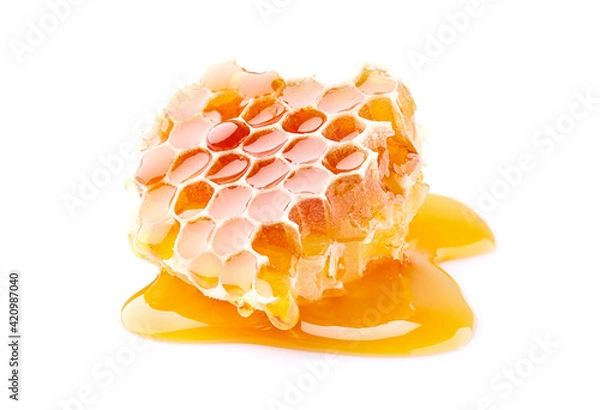 Fototapeta Honeycomb with honey in closeup on white background