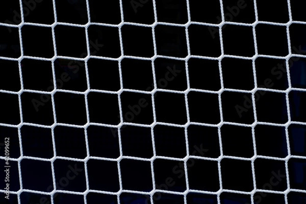 Fototapeta Net on Black