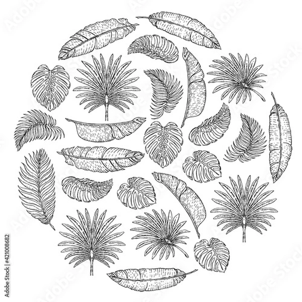 Obraz Vector pattern with tropical leaves. Palm tree. Philodendron. Cute vintage garden.