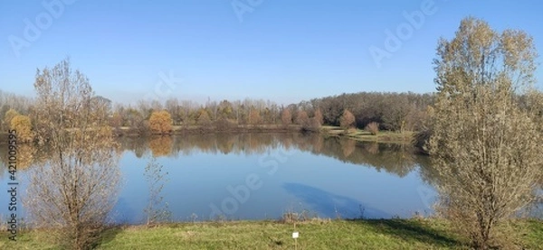 Obraz lake in the forest