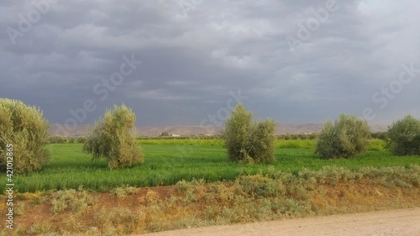 Obraz landscape with trees and sky