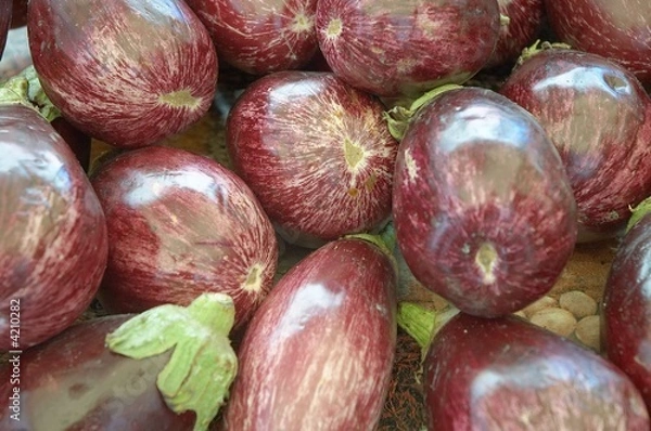 Obraz les aubergines