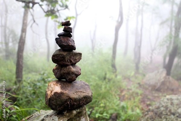 Obraz The rocks are laid out in the park on a foggy day