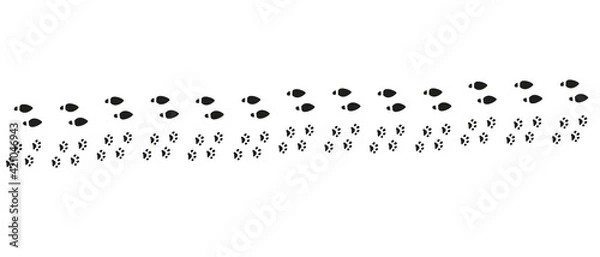 Obraz Traces on a white background. Footprints. Human feet