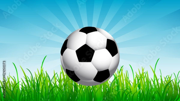 Fototapeta Soccer ball on the background of grass and sky, vector art illustration.
